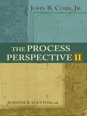 cover image of The Process Perspective II